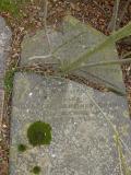 image of grave number 48912